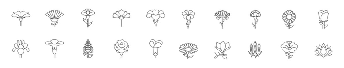 Wall Mural - Set of different flowers icon set. Premium quality objects. Editable strokes. Vector.