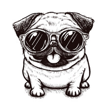 Cute Funny Pug Wearing Sunglasses Illustration, Cool Pug Sketch