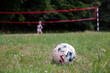 Piłka nożna podwórkowa, obóz młodzieżowy