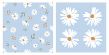 Seamless Pattern With Daisy Flower On Blue Backgrounds Vector.