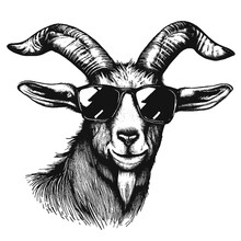 Cool Goat Wearing Sunglasses Illustration, Goat In Glasses Sketch