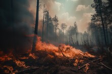 Forest Fires: A Threat To Our Environment. Generative AI