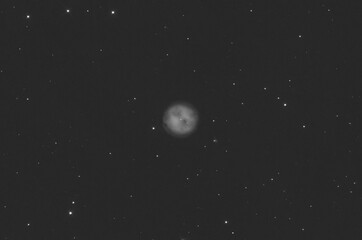 Wall Mural - owl nebula in the ursa major constellation, taken with my telescope, in luminance.