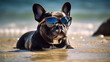 Portrait of cute french bulldog in trendy mirror sunglasses chilingl on the beach on the surf line in sunny day, vacation illustration, generative AI