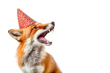 Funny Red Fox In Birthday Hat Isolated On White Background. A Fox Celebrates Its Birthday In A Birthday Hat And Sings. Generative AI