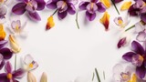 Crocus and orchid flowers border decor banner with free copy space on white background