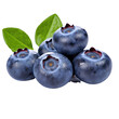 blueberries isolated on a transparent background