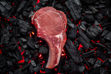 Wall Mural - Raw steak on hot barbecue coals