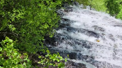 Wall Mural - panning footage of a gorgeous spring landscape with lush green trees and plants and a flowing waterfall with large rocks at Amicalola Falls State Park in Dawsonville Georgia USA