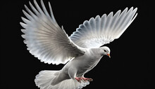 A White Dove Flying In The Sky With Its Wings Spread Without Background AI Generated Photo
