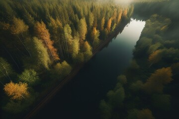 Wall Mural - an overhead perspective of a river in the middle of a forest Generative AI