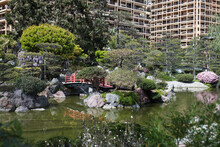 Princess Grace Japanese Garden, Monaco.