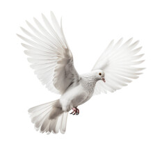 White Dove / Pigeon In Flight With Its Wings Spread Isolated Over A Transparent Background, Cut-out Peace And Freedom Symbol, Generative AI