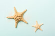 © Liami - Starfishes on color background, top view
