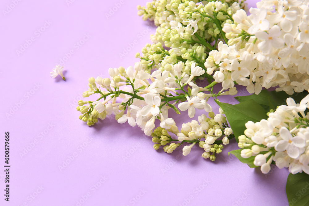 Blooming lilac flowers on color background