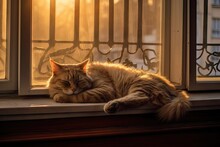 Cat Asleep On A Window Sill Generative AI