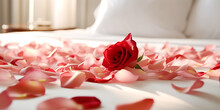 Rose On The Bed In The Hotel Rooms. Rose And Her Petals On The Bed For A Romantic Evening. Honeymoon Concept
