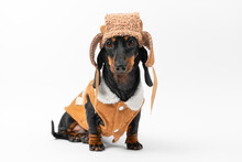 Dog In Hat With Earflaps, Warm Fur Vest Sits On Its Hind Legs And Looks At Camera. Winter Collection Of Clothes For Children, Pets. Cute Puppy On A White Background Dressed For A Walk In Cold Weather