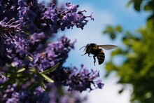 Bee Pollinating Purple Flowers In A Sunny Field. Generative AI