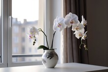 Vase With Orchid Flowers On White Table Near Window Indoors , Generate Ai