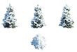 © Rio - Tree winter snowy cutout png Cedrus