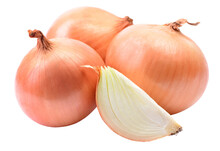 Fresh Onion Isolated