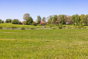 Sticker - Flowering meadow by a village in the countryside s sunny summer day