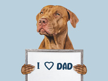 Happy Father's Day. Cute Brown Puppy And An Inscription With Words Of Love For Dad. Closeup, Indoors. Studio Photo. Congratulations For Family, Loved Ones, Friends And Colleagues. Pets Care Concept