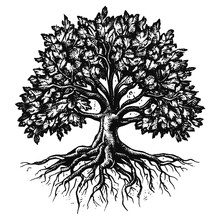 Tree With Roots Vector Vintage Sketch, Tree With Spreading Roots