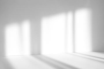 Leinwandbilder - Abstract white studio background with shadows of window. Empty 3d room. Display product with blurred backdrop.