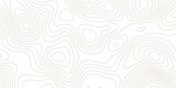 Fototapeta Przestrzenne - Panorama view gradient multicolor wave curve lines banner background design. Vector illustration. Line topography map contour background .Abstract Topographic map background with wave line.