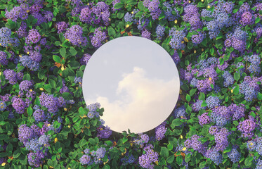 Poster - Sky reflection in mirror on spring Hydrangea flower field. 3d rendering.