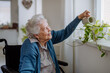 © Halfpoint - Senior woman watering flowers in her apartment.