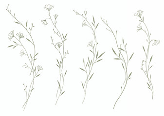beautiful clip art stock illustration set with hand drawn watercolor branch with leaves.