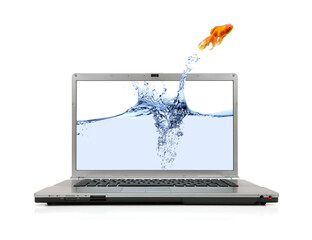 Wall Mural - A goldfish jumping out of laptop screen to escape to real world on white background.