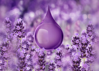 Wall Mural - lavender serum