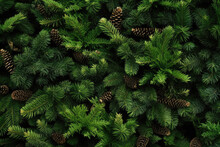 Christmas Fir Tree Branches Background. Christmas Pine Tree Wallpaper. Copy Space. Generative AI