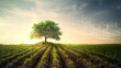 © Shahjahangdb - Growing green trees in the field of agricultural science technology generative ai