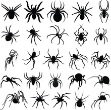 Arachnophobia Alert - Set Of 25 Spider Stock Vector Silhouettes For Halloween Design