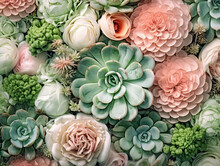 Soft Colors Succulents With Pastel Pink Flowers. Floral Background. Generative AI