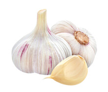 Garlic With Png Background