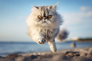 Conceptual portrait photography of a curious persian cat leaping against a beach background. With generative AI technology