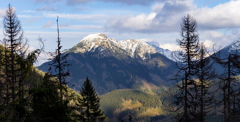 Canvas Print - The winter Tatra Mountains	
