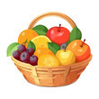 Fresh organic fruits basket