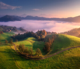 Wall Mural - aerial view of alpine meadows and mountains in low pink clouds at colorful sunrise in summer. top dr