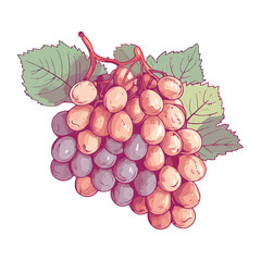 Poster - Juicy grapes on a fresh green leaf