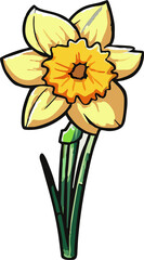 Wall Mural - daffodil png graphic clipart design