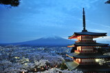 Fototapeta  - 日本の風景、富士山、五重塔、桜
