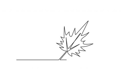 Wall Mural - Maple leaf outline self drawing animation. Line art. Red yellow color.	