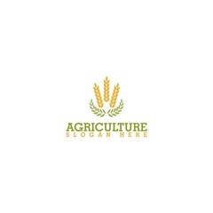 Agriculture icon logotype template. Wheat farm logo design isolated on white background